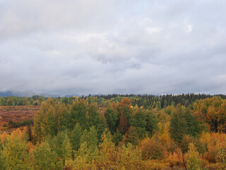 Fototapeta premium Dramatic Grand Teton mountain peaks framed by low hanging clouds and autumn colors