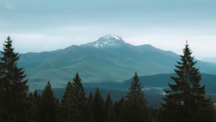 Obraz premium Mountain landscape with evergreen trees