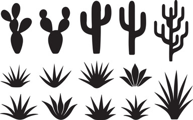 Desert plant, cactus and agave, arid flora, botanical, dry landscape, cad drawing flat design silhouette vector art illustration