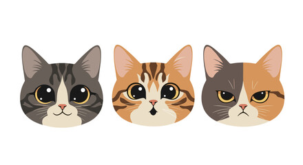 Fototapeta premium Adorable vector illustration of three distinct cat faces, each displaying a unique emotion: happiness, surprise, and anger.