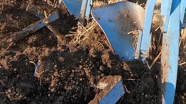 Tractor with agricultural machinery cultivates the arable land and prepares the soil for planting crops. Close up of a tractor plowing the land. The plow cuts the soil and turns it over, slow motion