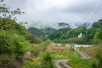 長野県南牧村の緑深い山里と霧、5月の新緑と梅雨のような湿気の風景
