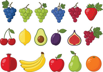 Mega Colorful Fruit Vector Collection Set Featuring Grapes, Strawberry, Cherry, Lemon, Avocado, Plum, Fig, Pomegranate, Banana, Apple, Pear, and Orange.