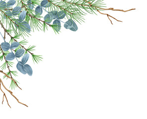 Christmas corner ornament with winter greenery, spruce, pine tree twig and eucalyptus branch. New Year design for greeting or invitation.