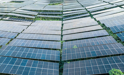 Pattern of photovoltaic solar panels generating renewable energy on green grass.