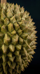Extreme Macro Close Up of Durian Spikes