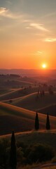 Fototapeta premium Rolling Tuscan hills dotted with cypress trees under a soft sunset, rustic, Italy