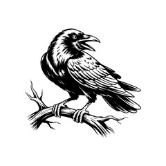 Silhouette of a hand drawn ink sketch of a crow or raven bird vector illustration.