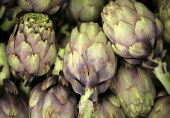 Artischoken
