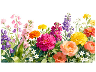 Obraz premium Vibrant watercolor garden border with pink purple yellow orange flowers watercolor, flowers, floral, garden, border, pink, purple, yellow, orange, red, green, nature, bloom, blossom, botanical, illust