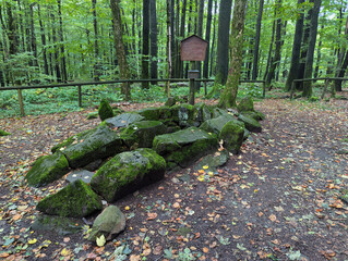 Wald Natur, Laubwald, Herbst, Pfad, Weg, Treppe, Stufen, Steine, Denkmal