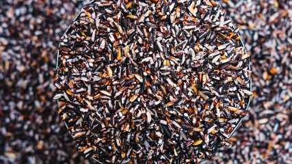 Close up of colorful rice grains with a circular overlay