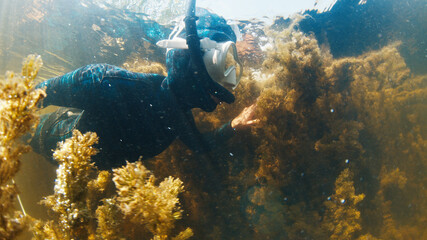 River spearfishing. Woman with speargun swims underwater in the murky river and explores area full of underwater plants