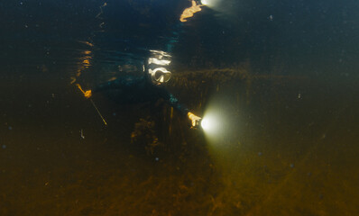 River spearfishing. Woman with speargun and torch slowly swims underwater in the murky river and explores area full of underwater plants