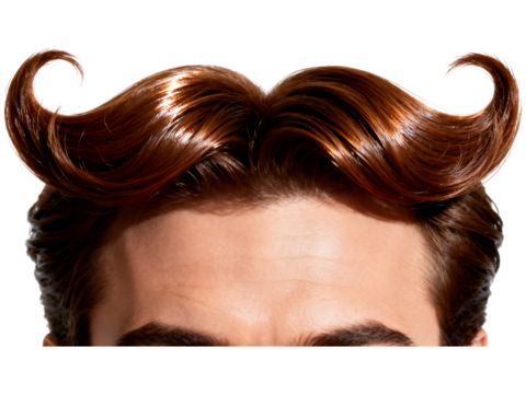 Man's styled brown hair in mustache shape image man, hair, styled, brown, mustache, shape, black background, close up, male, hairstyle, grooming, beauty, fashion, men's hair, hair styling, slicked bac