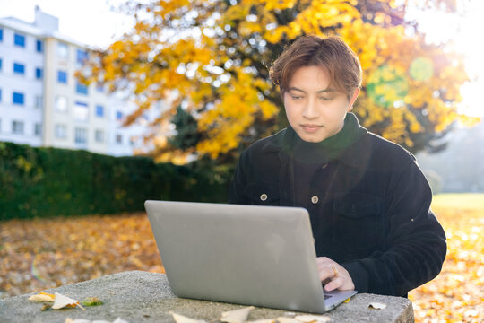 A young man uses his laptop outdoors in a bright autumn park, surrounded by colorful leaves, enjoying a calm and productive work or study moment in natural light.