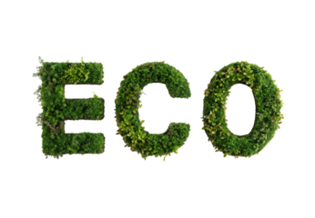 ECO letters crafted from living moss and natural foliage, isolated on a transparent background