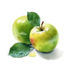 Local Apple, watercolor painting vector, isolated on a white background.
