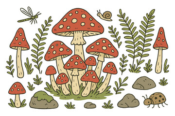 Whimsical hand drawn red mushrooms, green ferns, rocks, and small forest insects