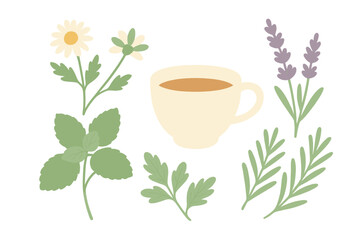 Medicinal herbs and flowers including chamomile, mint, and lavender arranged around a warm teacup