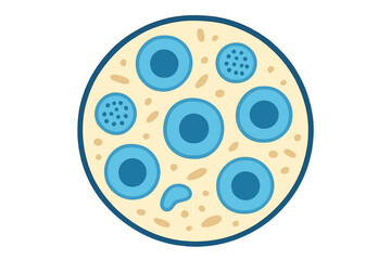 Cross section of a peripheral nerve bundle showing myelinated and unmyelinated fibers
