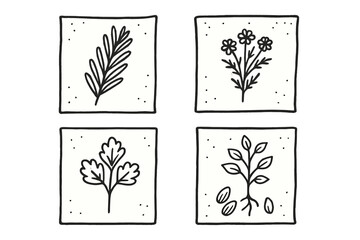 Black and white minimalist hand drawn botanical icons set in square frames