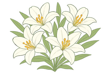 Elegant bouquet of white Easter lilies with green foliage on a clean background