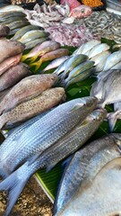 fresh fish on the market