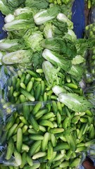 fresh vegetables at the market