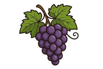 Vibrant bunch of purple grapes hanging from a vine with large green leaves and a curling tendril