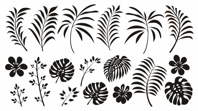 Exotic botanical silhouettes for striking modern designs, tropical foliage elements for creating elegant patterns, and floral accents for inviting summer themes