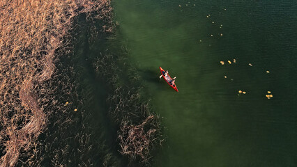 A bird's-eye view of a couple paddling a red canoe on a serene, green lake surrounded by dry reeds. The scene captures a peaceful weekend activity, emphasizing an active lifestyle and connection.