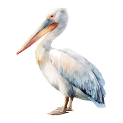 Pelican, watercolor clipart vector, isolated on a white background.