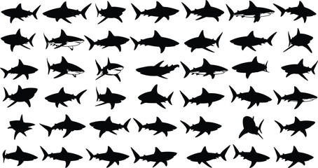 Extensive Collection of Forty-Eight Shark Silhouettes Isolated on White Background Vector Illustration Set, Different Marine Predators Black Shapes, Ocean Wildlife Design Elements for Fear and Danger 