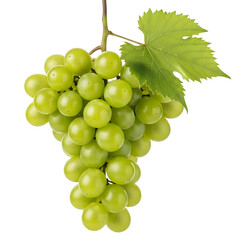Lush bunch of green grapes with leaves isolated on a black background