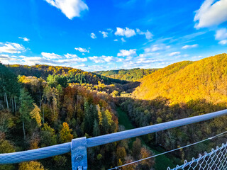 Fototapeta premium Autumn Canyon in Golden Tones