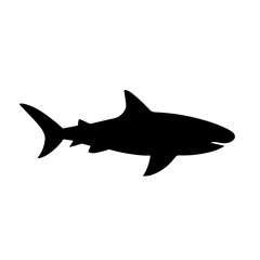 Obraz premium Bull Shark Silhouette Vector Icon – Minimal Black Marine Predator on Transparent Background