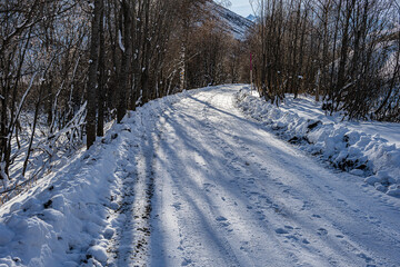 Beschneite Waldstrasse im Ursrental, Kanton Uri, Schweiz