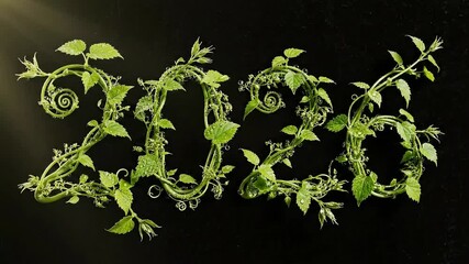 Lush green leaves unfolding on twisting stems to construct the date 2026 new year in a natural style for eco conscious branding