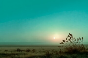 Field of grass with a sun in the sky. The sky is blue and the sun is setting