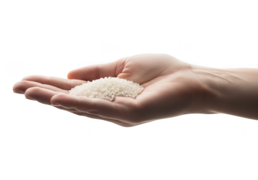 Hand holding white rice grains isolated on transparent background - Powered by Adobe