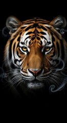 Fototapeta premium Majestic Tiger Face with Ethereal Smoke Wisps