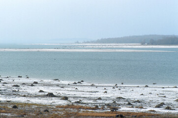 for&ecirc;t d'Orient