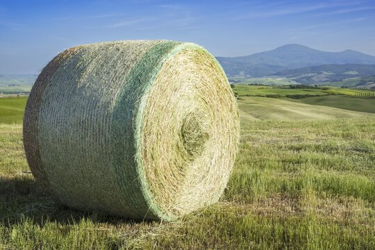 Harvested wheat field with bales of straw, landscape around Pienza, Val d'Orcia, Orcia Valley, UNESCO World Heritage Site, Province of Siena, Tuscany, Italy