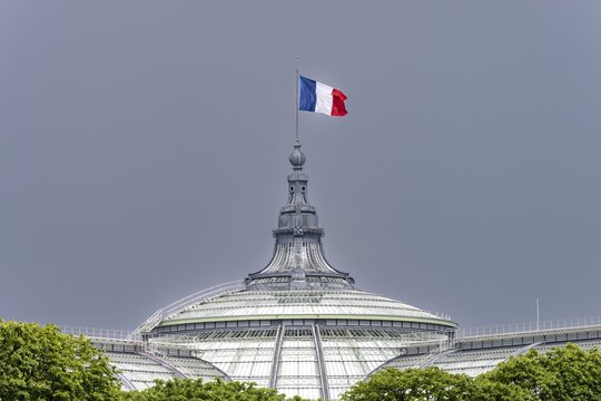 The French national flag, tricolour, on the Grand Palais, Paris, Île-de-France, France