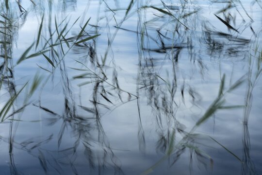 Reeds reflected in the water, long exposure, lake near Hartola, Finland