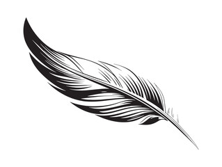 Feather 2D vector line art in clean minimalist style black perfect for modern designs