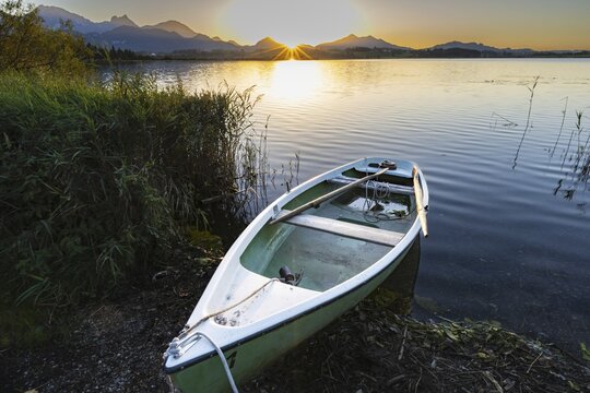 Rowing boat at sunset, Hopfensee, Hopfen am See, near F&uuml;ssen, Ostallg&auml;u, Allg&auml;u, Bavaria, Germany