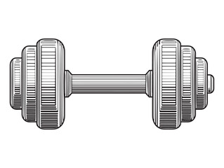 Fitness dumbbell 2D vector line art in clean minimalist style gym workout illustration