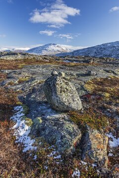 Fjell with stones, boulders, autumn colours, snowy mountains, autumn, Bjornfjell, Narvik, Norway